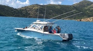 Cynderella Caribbean