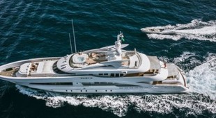 Daisy D Caribbean, West Mediterranean