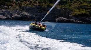 Dalmatino East Mediterranean