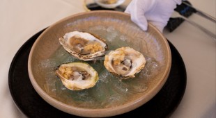 Dalmatino East Mediterranean