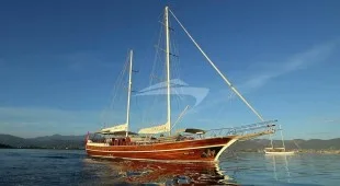 Dear Lila East Mediterranean