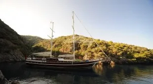 Dear Lila East Mediterranean