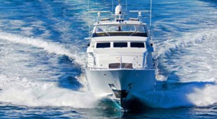 Perseverance Caribbean