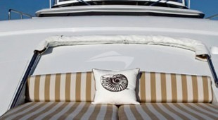 Perseverance Caribbean