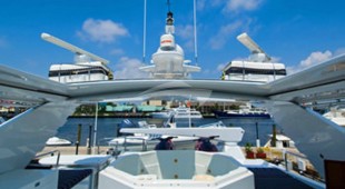 Perseverance Caribbean