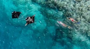 Dhoni Stella 1 Indian Ocean and SE Asia