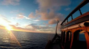 Dhoni Stella 1 Indian Ocean and SE Asia