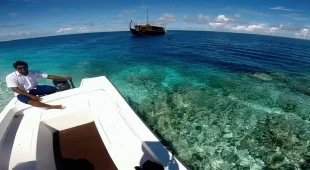 Dhoni Stella 1 Indian Ocean and SE Asia