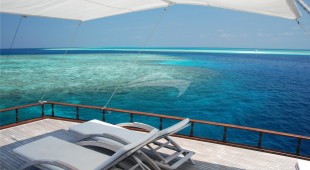 Dhoni Stella Indian Ocean