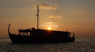 Dhoni Stella Indian Ocean