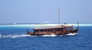 Dhoni Stella Indian Ocean