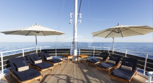 Dionea West Mediterranean