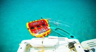Dirak Red Sea