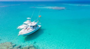 Dirak Red Sea
