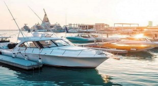 Dirak Red Sea