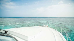 Dirak Red Sea