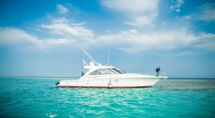 Dirak Red Sea