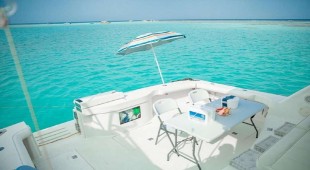 Dirak Red Sea
