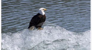 Discovery Central America, West Coast United States, Canada