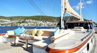 Dragon Fly East Mediterranean