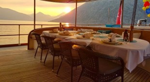 Dragon Fly East Mediterranean