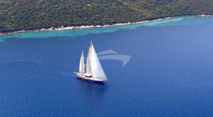 Dragon Fly East Mediterranean