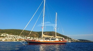 Dragon Fly East Mediterranean