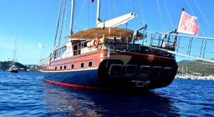 Dragon Fly East Mediterranean