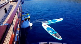 Dragon Fly East Mediterranean