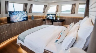 Dream East Mediterranean