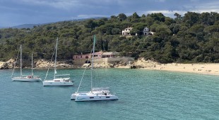 East West Caribbean, East Mediterranean, West Mediterranean