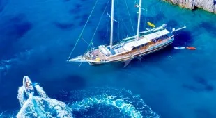 Ecce Navigo East Mediterranean