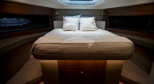 Elisea East Coast United States