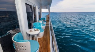 Elite West Coast South America, East Coast South America