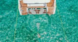 Elly East Mediterranean