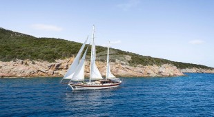 Estrella De Mar East Mediterranean