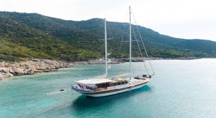 Estrella De Mar Turkey
