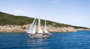 Estrella De Mar Turkey
