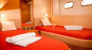 Felina East Mediterranean, West Mediterranean