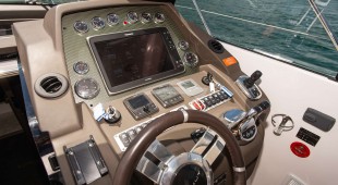 Fellow Iii East Mediterranean