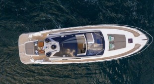 Fellow Iii East Mediterranean