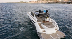 Fellow Iii East Mediterranean