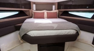 Fellow Iii East Mediterranean