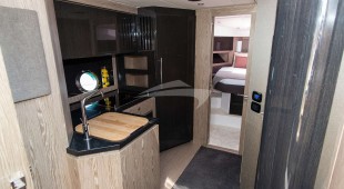 Fellow Iii East Mediterranean