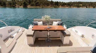 Fellow Iii East Mediterranean