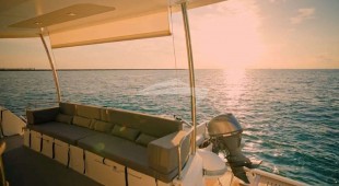 Fina Caribbean, East Coast United States