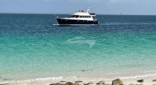 Flamenga East Mediterranean