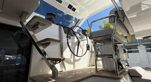 Flying Whale Caribbean