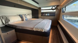 Flying Whale Caribbean