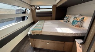 Flying Whale Caribbean